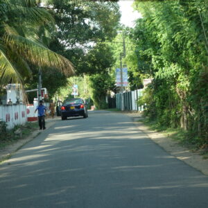 DSC09218