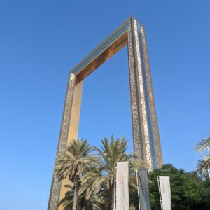 PXL_20221121_055103534
