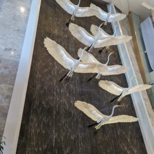 PXL_20221129_131045838
