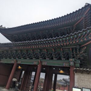 PXL_20231116_072323205