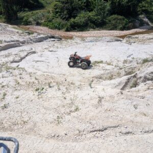 PXL_20241231_061917020