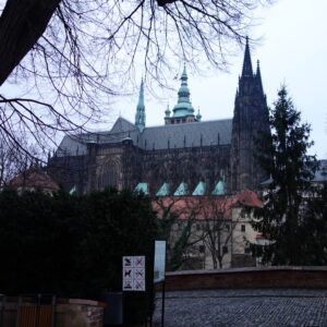 DSC00951