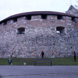DSC03286 (1)