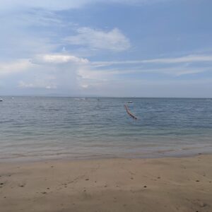 IMG_20191229_140203