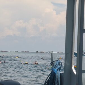 IMG_20191231_115301_MP